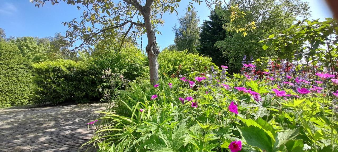 B&B Sonnehuys Nieuwland  Eksteriør bilde